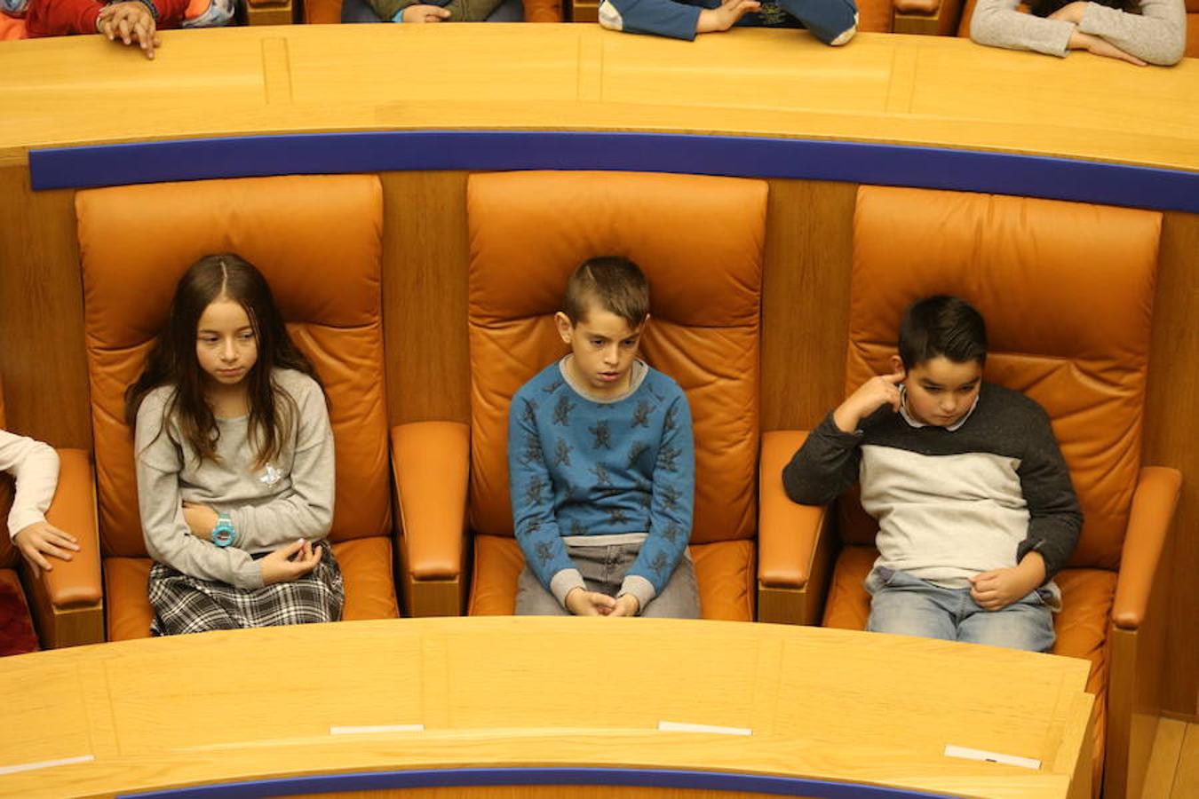 Un grupo de escolares de quinto de Primaria del Colegio Villapatro de Lardero han leído hoy, en el Parlamento de La Rioja, unos manifiestos, que previamente habían redactado junto a sus profesores, sobre cuatro derechos de la infancia en el acto del Día del Niño.