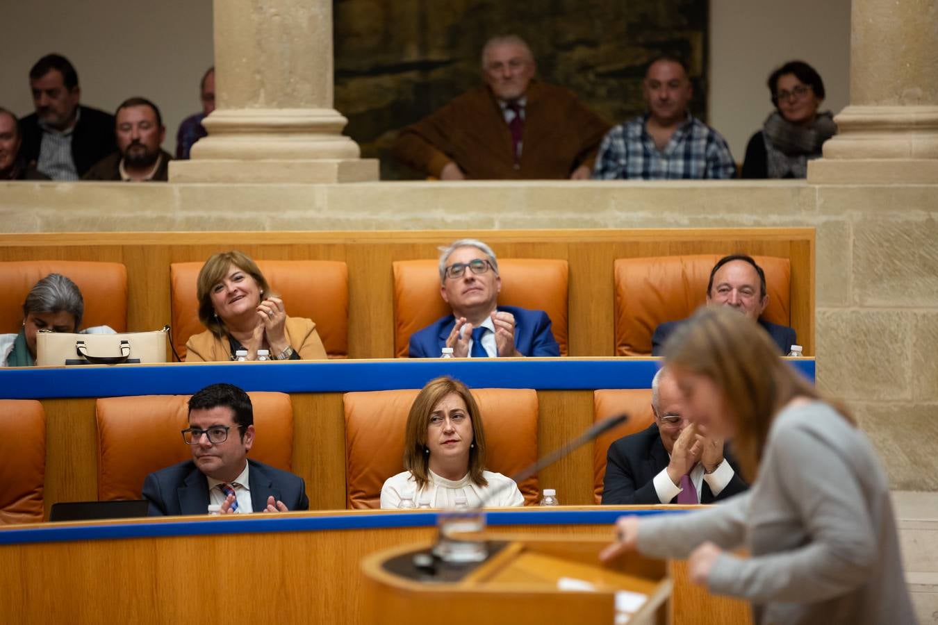 El Pleno del Parlamento aprueba la ILP de protección a los animales