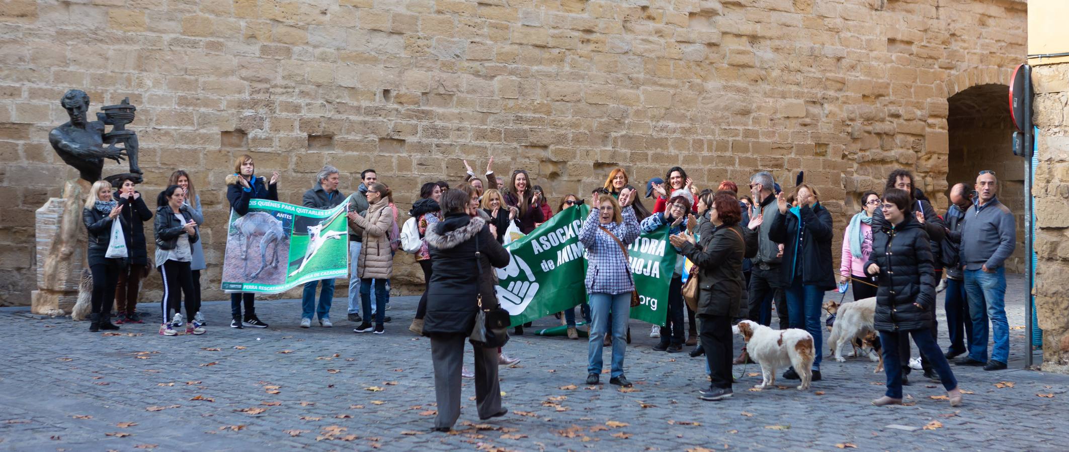 El Pleno del Parlamento aprueba la ILP de protección a los animales