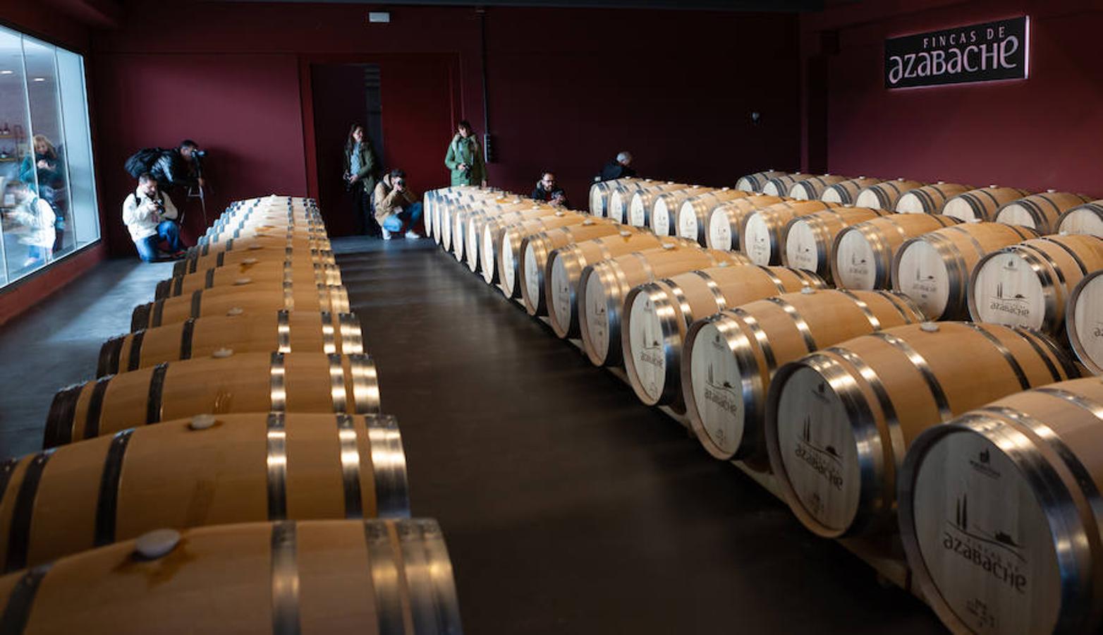 El sol y el buen tiempo se aliaron para hacer «la fotografía perfecta» en el VIII Rally Fotográfico del Rioja, que ayer reunió a 95 participantes y recorrió rincones y bodegas de Aldeanueva, Azagra y Navarrete