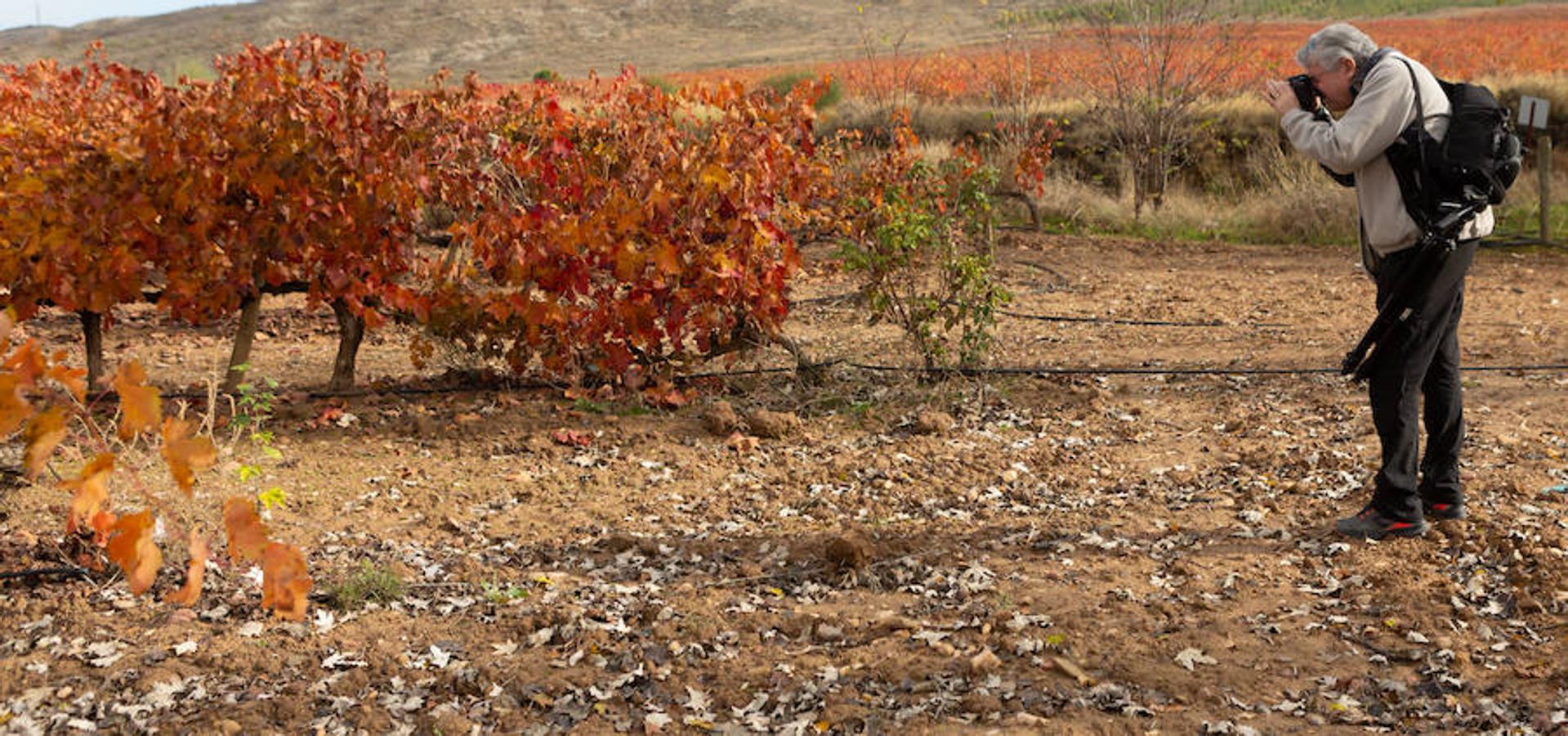 El sol y el buen tiempo se aliaron para hacer «la fotografía perfecta» en el VIII Rally Fotográfico del Rioja, que ayer reunió a 95 participantes y recorrió rincones y bodegas de Aldeanueva, Azagra y Navarrete 