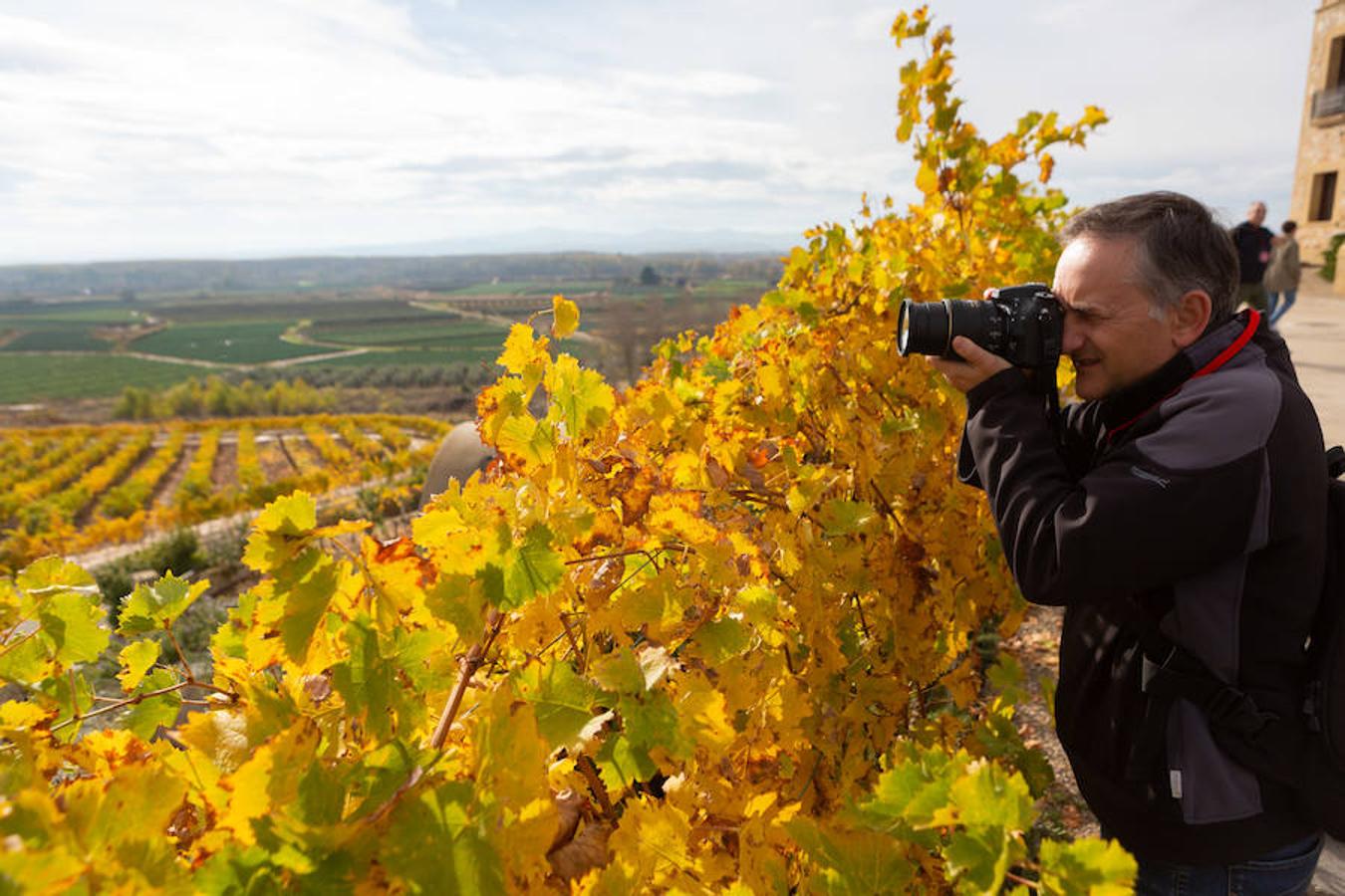 El sol y el buen tiempo se aliaron para hacer «la fotografía perfecta» en el VIII Rally Fotográfico del Rioja, que ayer reunió a 95 participantes y recorrió rincones y bodegas de Aldeanueva, Azagra y Navarrete 