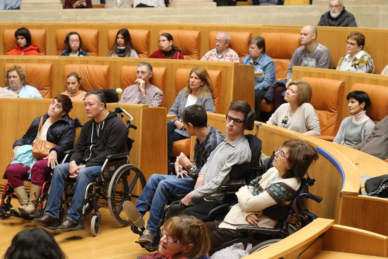 El Parlamento de La Rioja ha acogido el acto conmemorativo del Día Europeo e Internacional de las Personas con Discapacidad, organizado por el Comité Español de Representantes de Personas con Discapacidad (CERMI) en La Rioja. Parlamento.