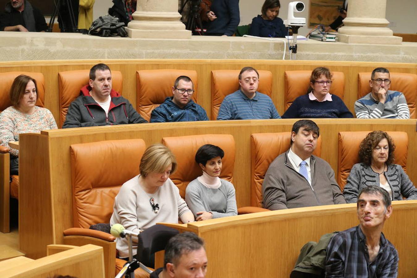 El Parlamento de La Rioja ha acogido el acto conmemorativo del Día Europeo e Internacional de las Personas con Discapacidad, organizado por el Comité Español de Representantes de Personas con Discapacidad (CERMI) en La Rioja. Parlamento.