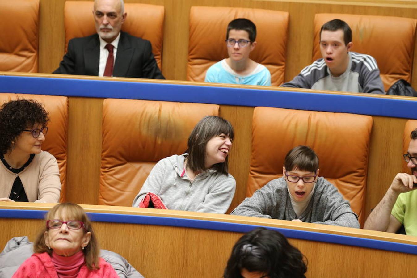 El Parlamento de La Rioja ha acogido el acto conmemorativo del Día Europeo e Internacional de las Personas con Discapacidad, organizado por el Comité Español de Representantes de Personas con Discapacidad (CERMI) en La Rioja. Parlamento.