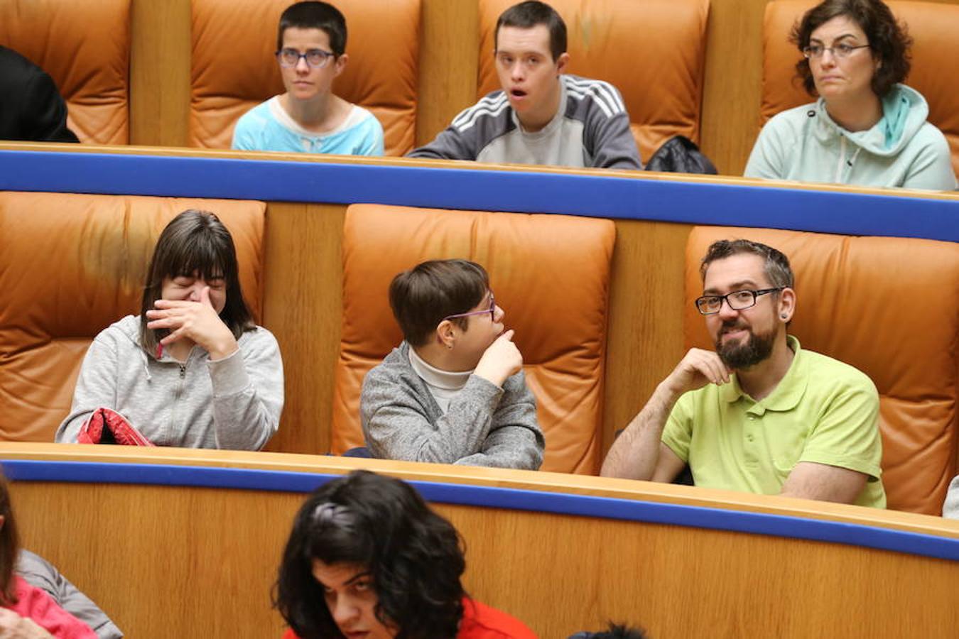 El Parlamento de La Rioja ha acogido el acto conmemorativo del Día Europeo e Internacional de las Personas con Discapacidad, organizado por el Comité Español de Representantes de Personas con Discapacidad (CERMI) en La Rioja. Parlamento.