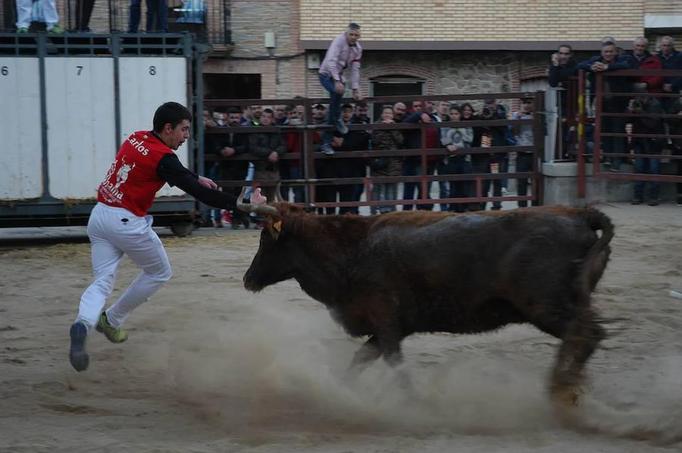 Rincón de Olivedo ha celebrado sus Fiestas de la Juventud con una exhibición de anillas que estuvo muy concurrida.