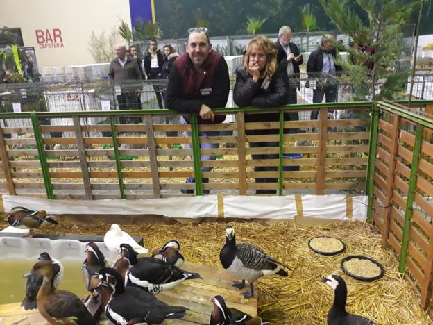 Asistentes a la exposición y concurso avícola en Albelda. :: 