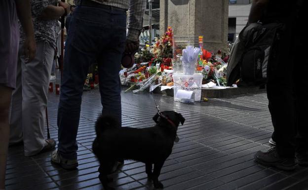 Homenaje a las víctimas del atentado de Las Ramblas. 