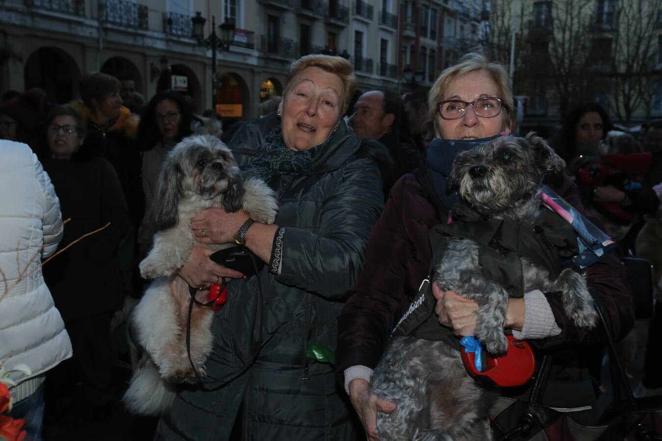 Los logroñeses bendicen a sus mascotas