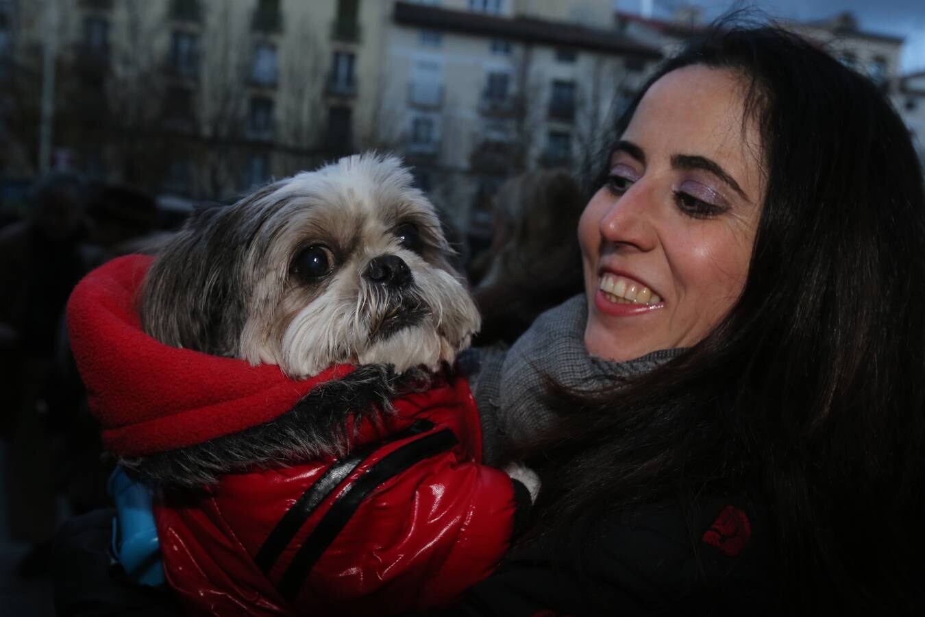 Los logroñeses bendicen a sus mascotas