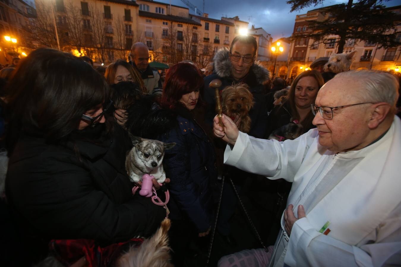 Los logroñeses bendicen a sus mascotas