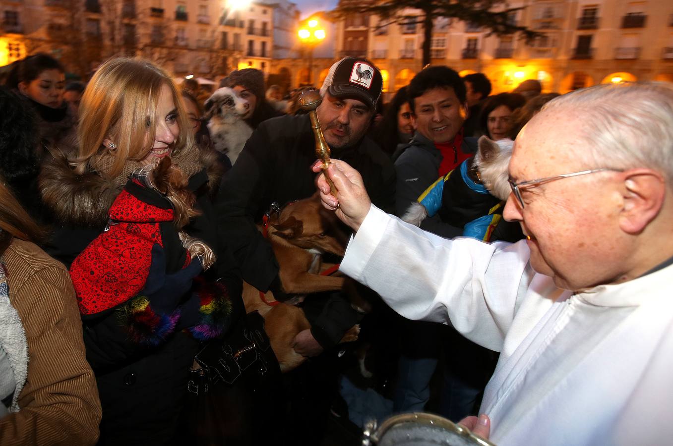 Los logroñeses bendicen a sus mascotas