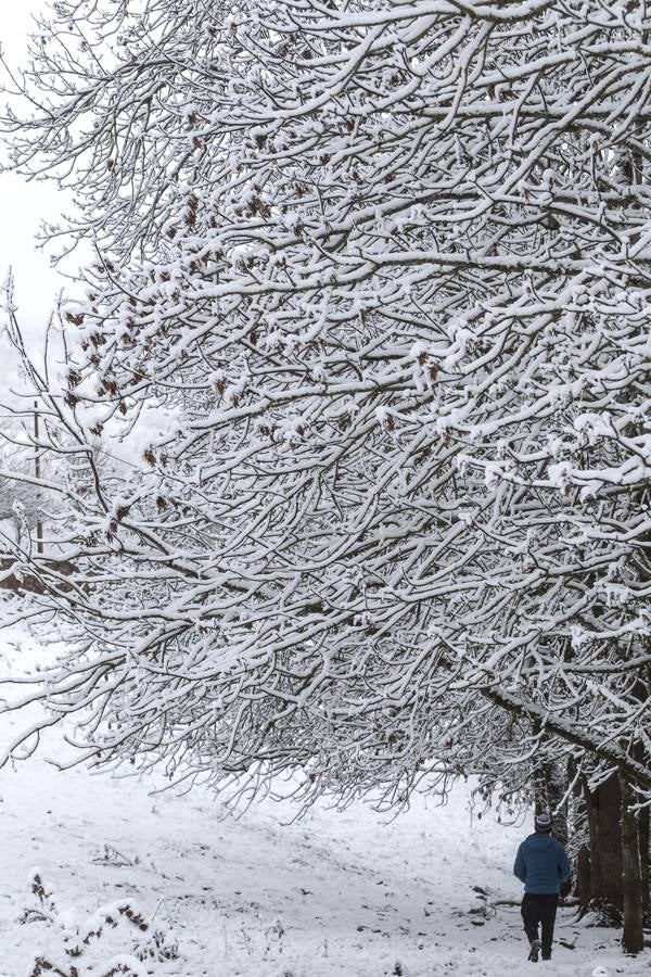 Fotos: La sierra riojana, cubierta por la nieve