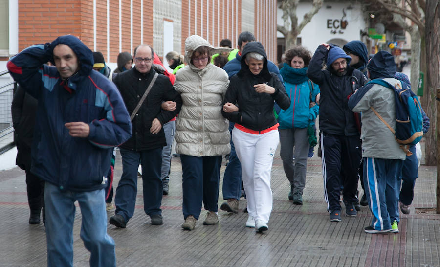 A pesar del tiempo desapacible, los ciudadanos se unieron a la iniciativa en Logroño