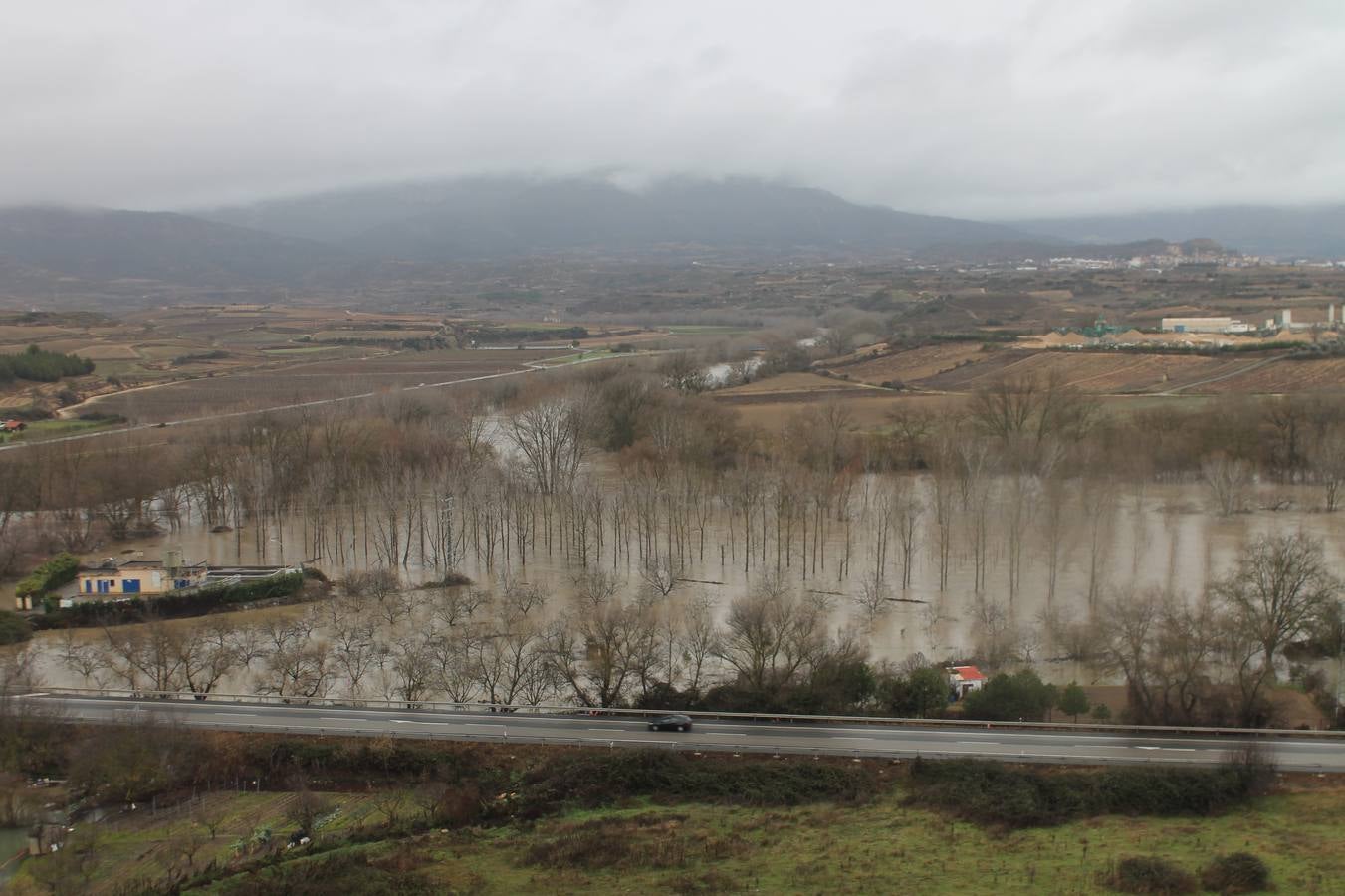 Fotos: Las lluvias provocan que los campos se aneguen en Haro