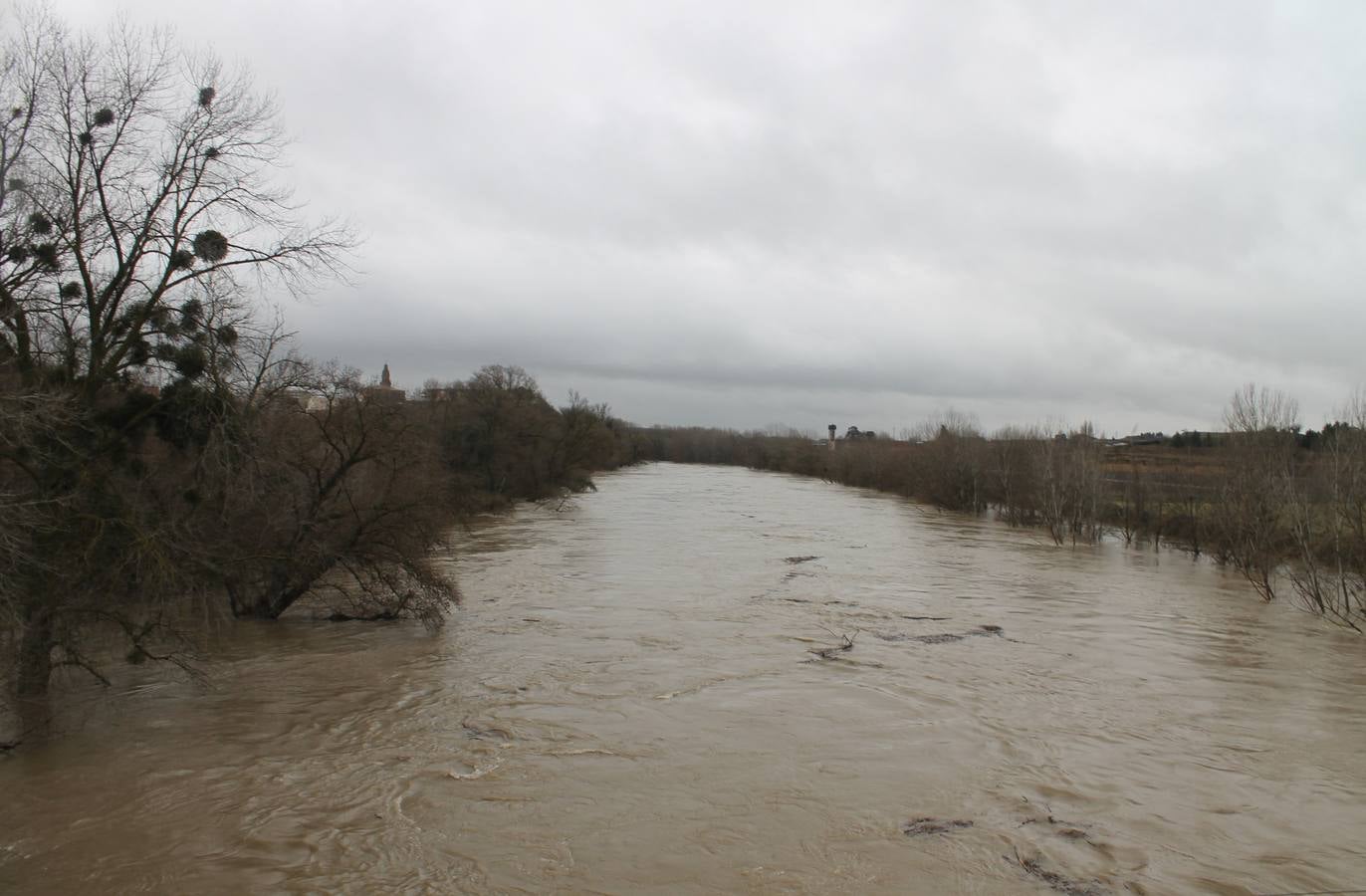 Fotos: Las lluvias provocan que los campos se aneguen en Haro