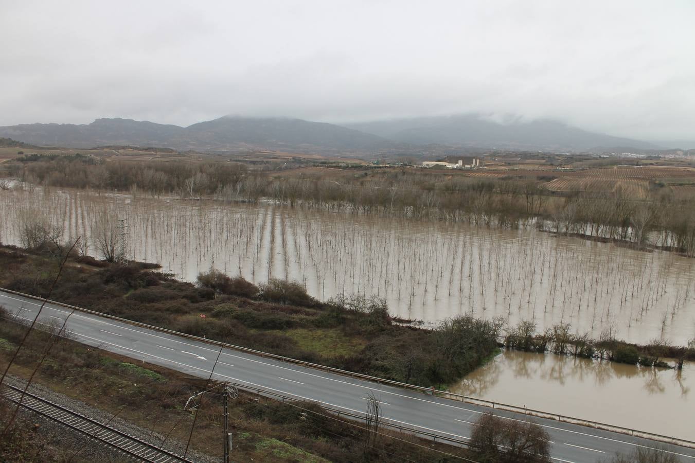 Fotos: Las lluvias provocan que los campos se aneguen en Haro