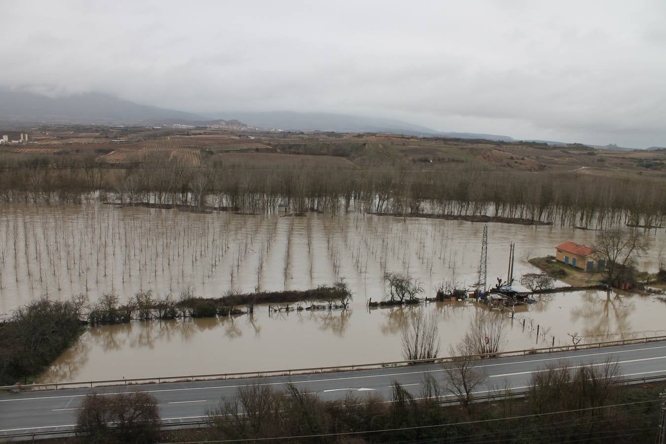 Fotos: Las lluvias provocan que los campos se aneguen en Haro