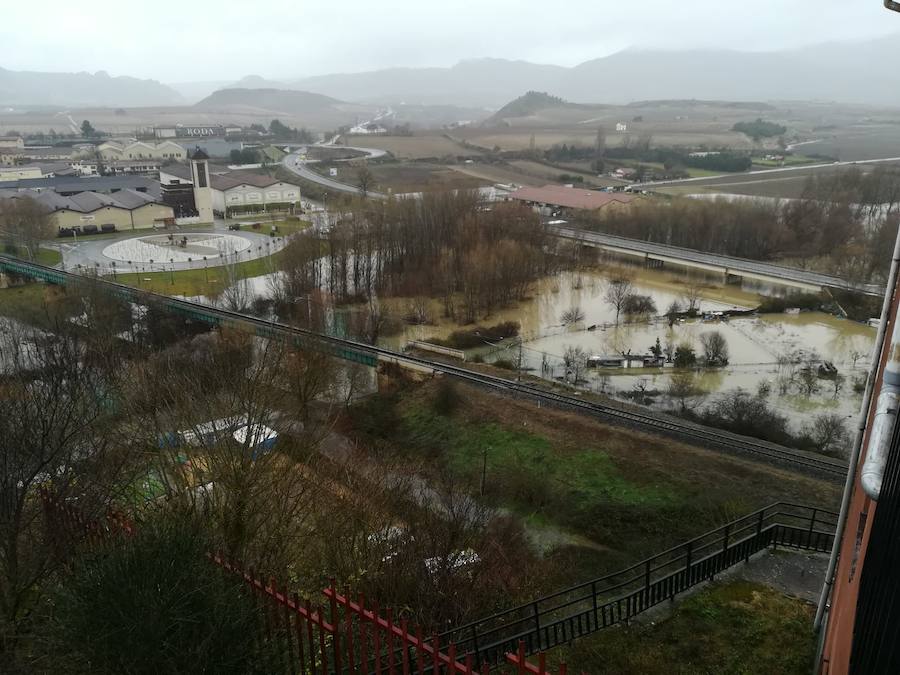 Fotos: Las lluvias provocan que los campos se aneguen en Haro