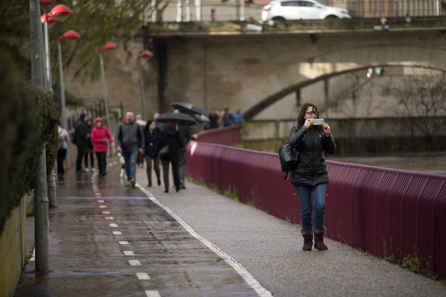 Numerosos ciudadanos se acercaron a ver las revueltas aguas durante la jornada