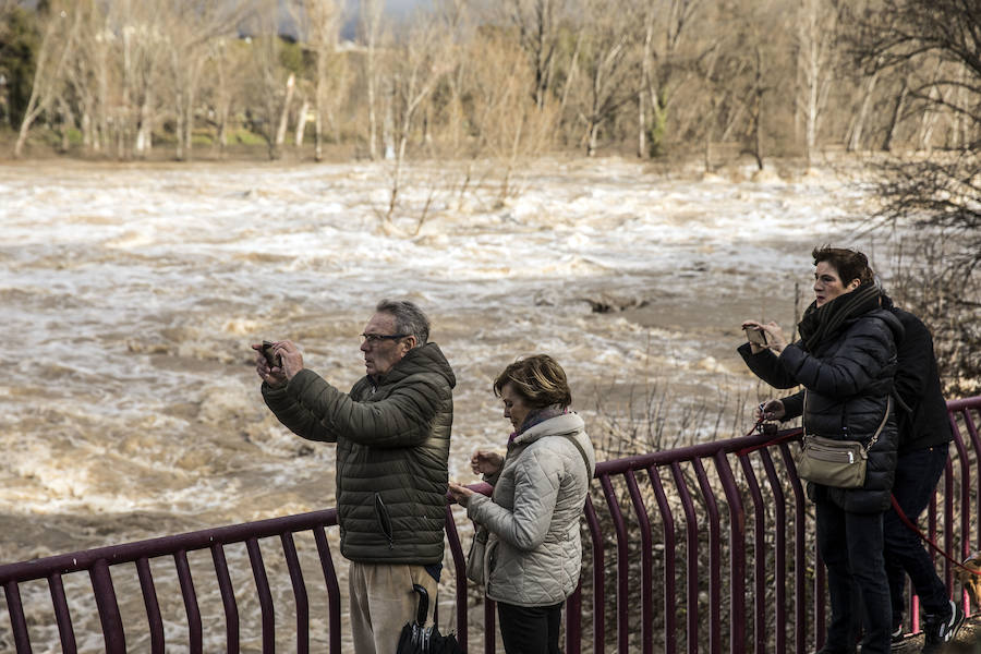 Numerosos ciudadanos se acercaron a ver las revueltas aguas durante la jornada