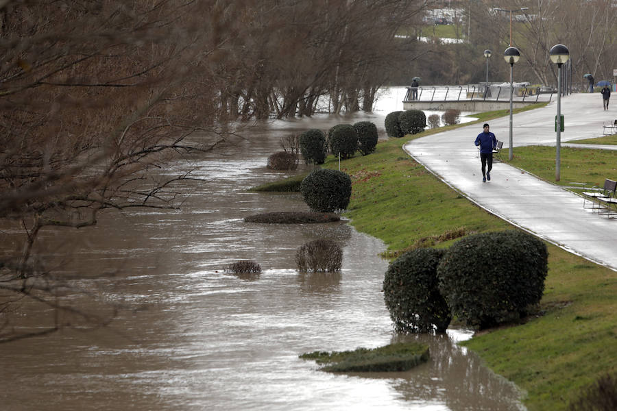 Numerosos ciudadanos se acercaron a ver las revueltas aguas durante la jornada