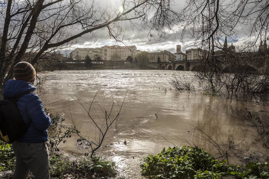 Numerosos ciudadanos se acercaron a ver las revueltas aguas durante la jornada