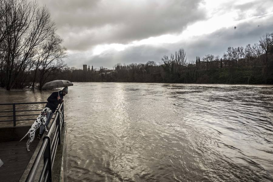 Numerosos ciudadanos se acercaron a ver las revueltas aguas durante la jornada