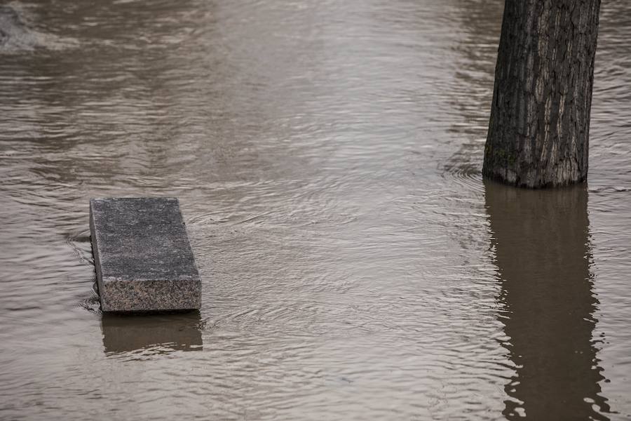 Numerosos ciudadanos se acercaron a ver las revueltas aguas durante la jornada