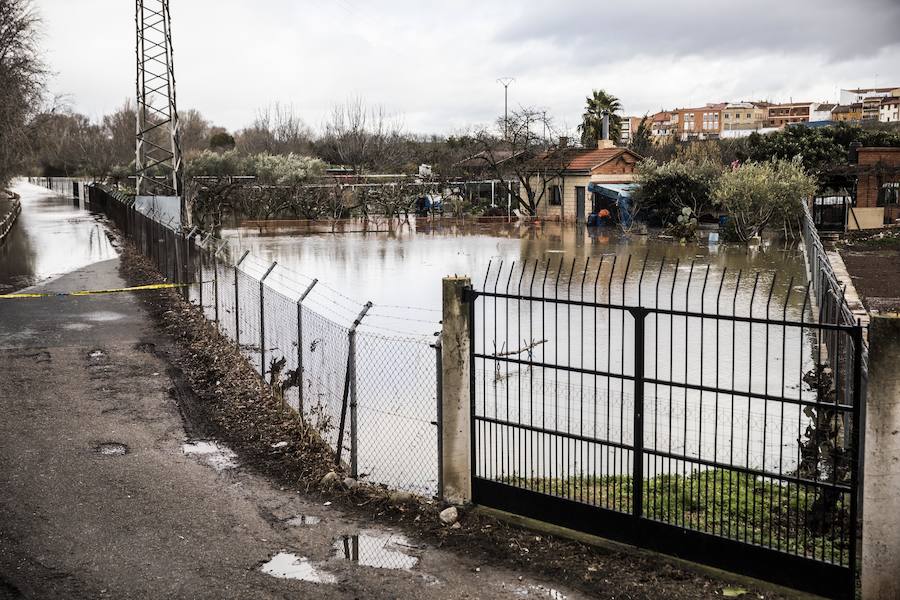 Numerosos ciudadanos se acercaron a ver las revueltas aguas durante la jornada