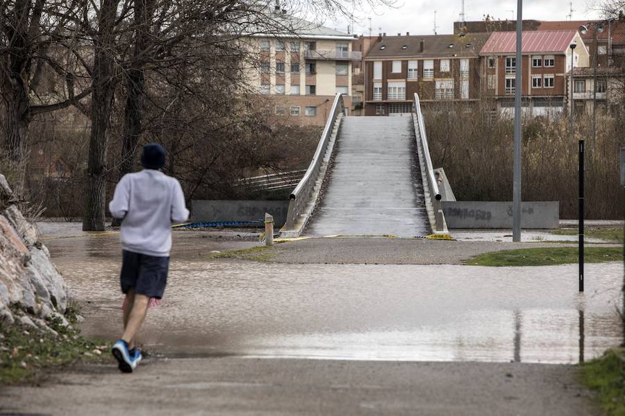 Numerosos ciudadanos se acercaron a ver las revueltas aguas durante la jornada