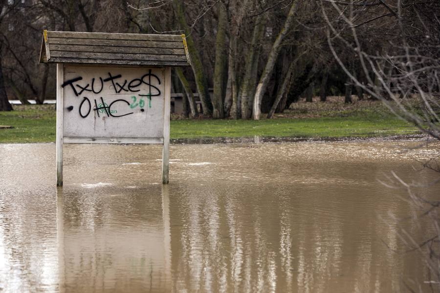 Numerosos ciudadanos se acercaron a ver las revueltas aguas durante la jornada