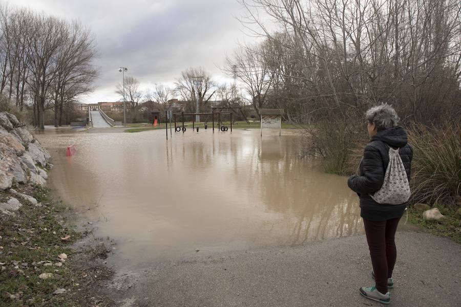 Numerosos ciudadanos se acercaron a ver las revueltas aguas durante la jornada