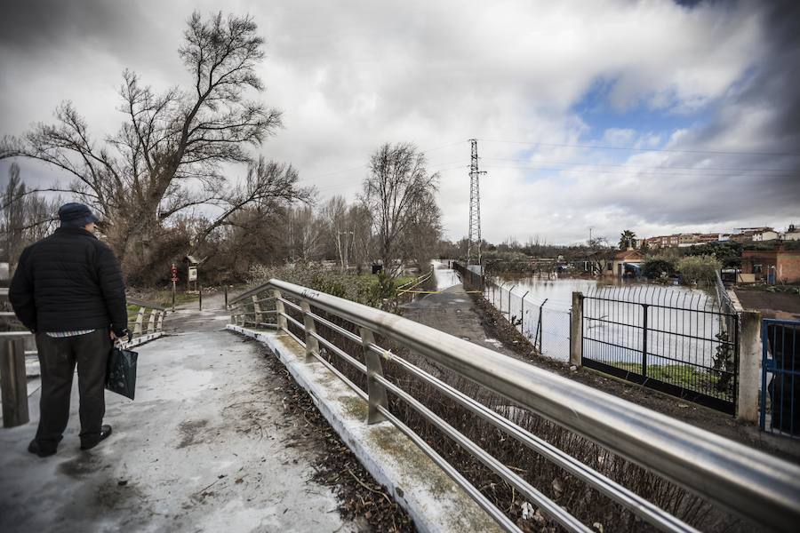 Numerosos ciudadanos se acercaron a ver las revueltas aguas durante la jornada