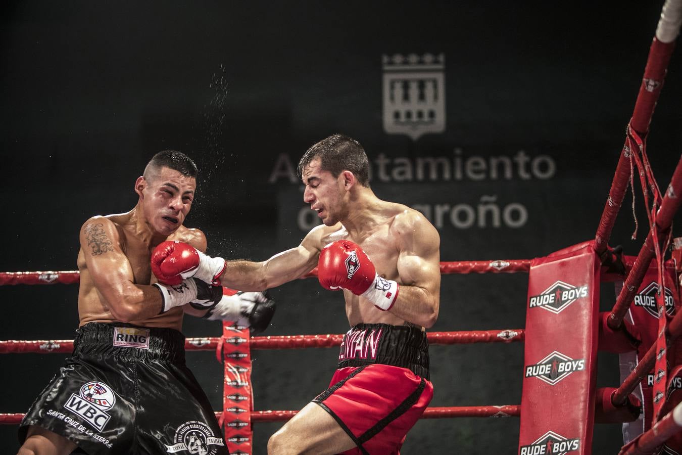 Los equipos Euskobox Green (País Vasco) y Guerreros del Bronx (Galicia) han empatado de nuevo en esta quinta jornada de la segunda vuelta de la 'Liga Marathonbet' gracias a las cuatro victorias que consiguió cada equipo este sábado en Logroño
