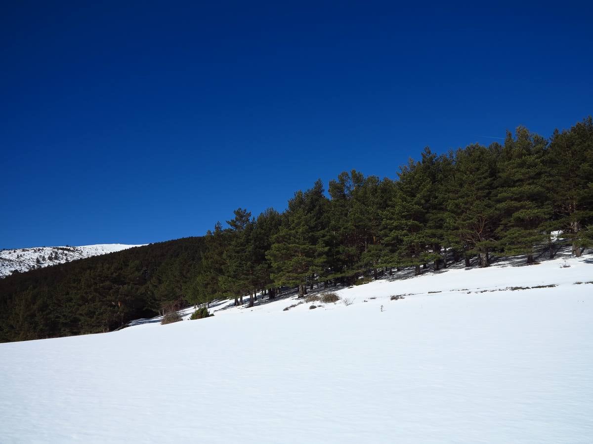 Después de un fin de semana de nieve y frío, El Rasillo comienza la semana con sol y deja unas preciosas imágenes