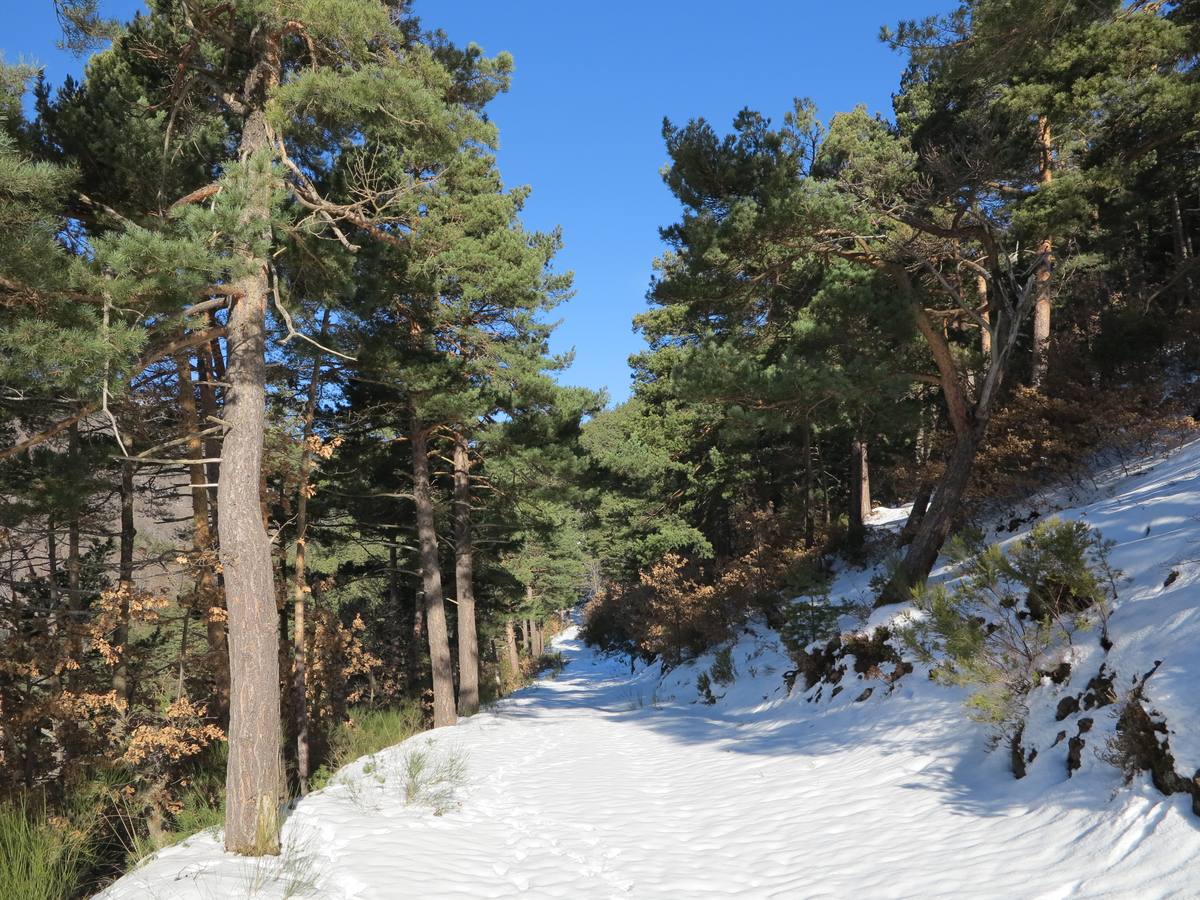 Después de un fin de semana de nieve y frío, El Rasillo comienza la semana con sol y deja unas preciosas imágenes