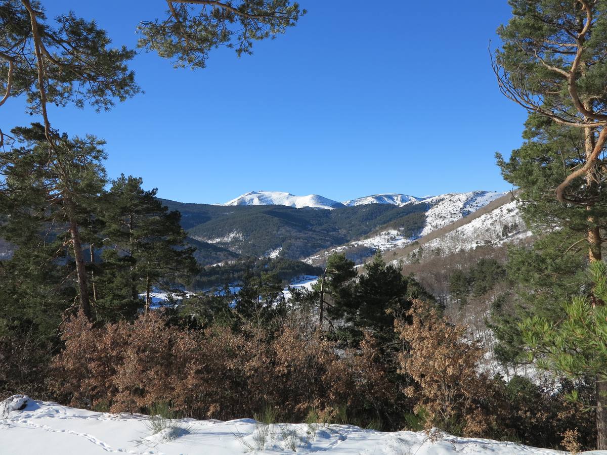 Después de un fin de semana de nieve y frío, El Rasillo comienza la semana con sol y deja unas preciosas imágenes