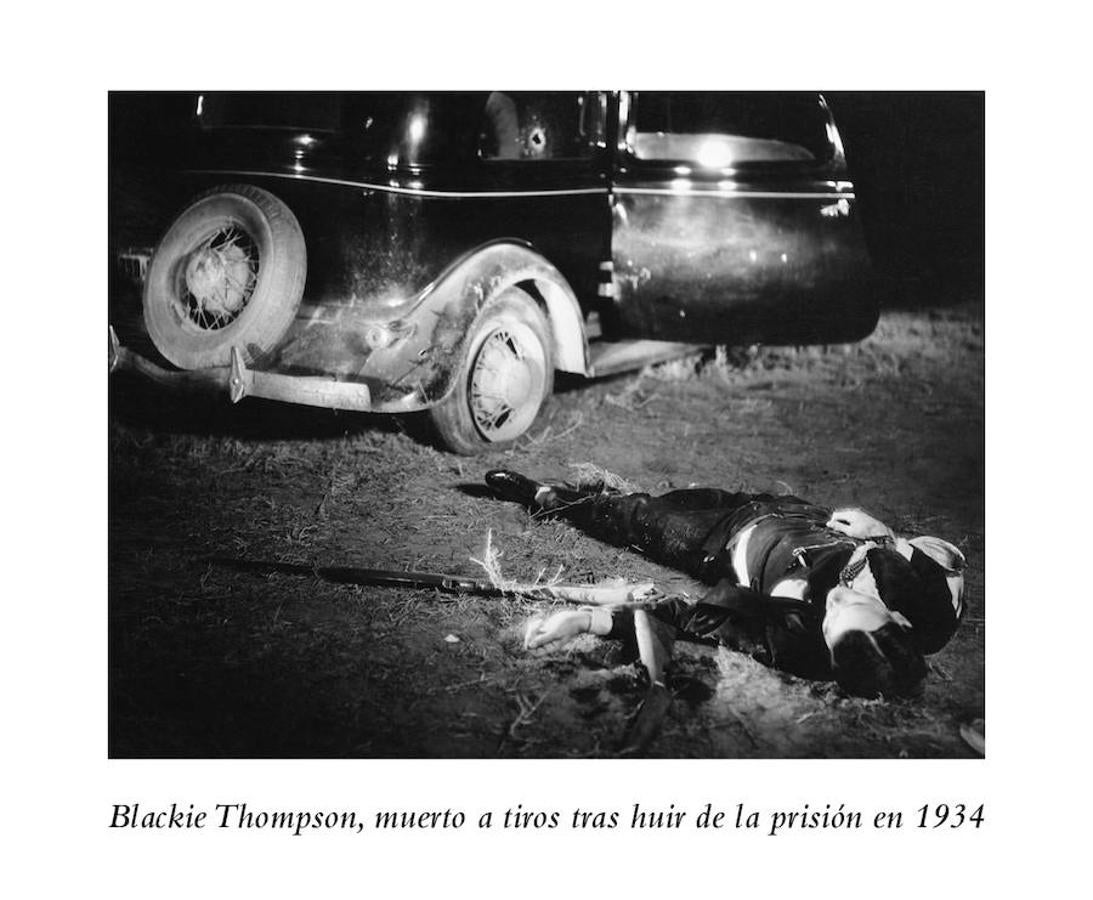 La conspiración del petróleo para acabar con los Osage. El escritor David Grann narra en 'Los asesinos de la luna' la masacre que sufrió esta tribu india por habitar terrenos ricos en oro negro.