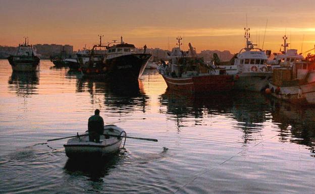 Barcos pesqueros en el puerto de Almería. 