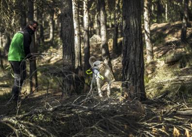 Imagen secundaria 1 - Cuestión de olfato: así trabaja la Unidad Canina de Rescate de La Rioja