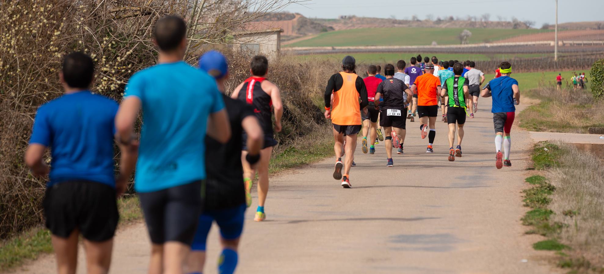 Fotos: Media Maratón del Camino (I)