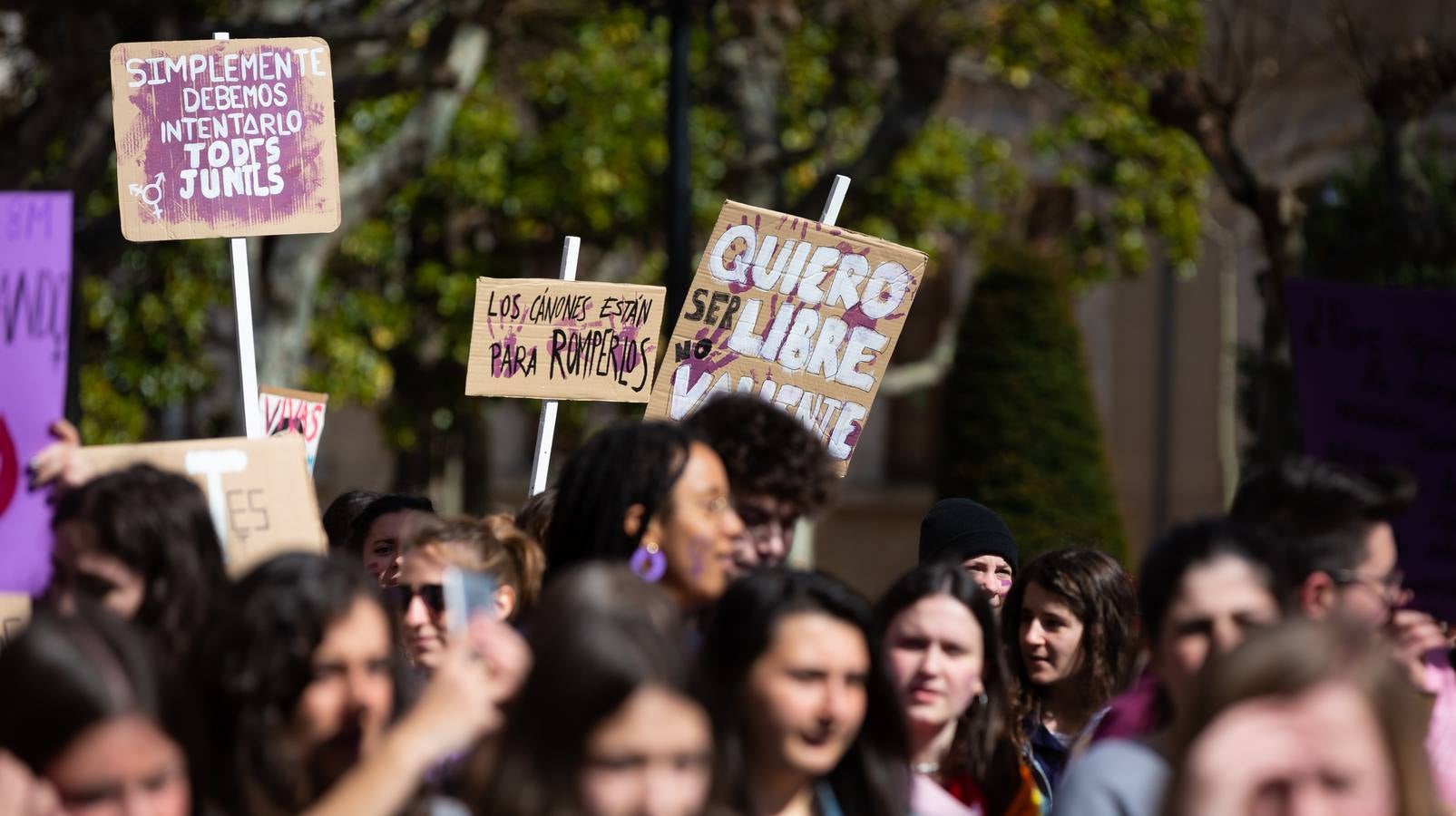 Fotos: La manifestación feminista estudiantil en Logroño, de camino a La Concha