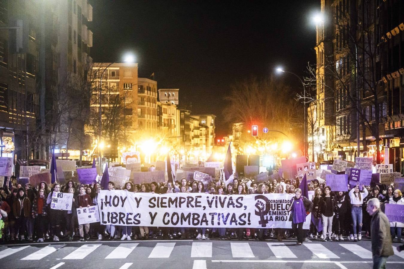 Fotos: La manifestación del Día de la Mujer llena al anocchecer las calles de Logroño