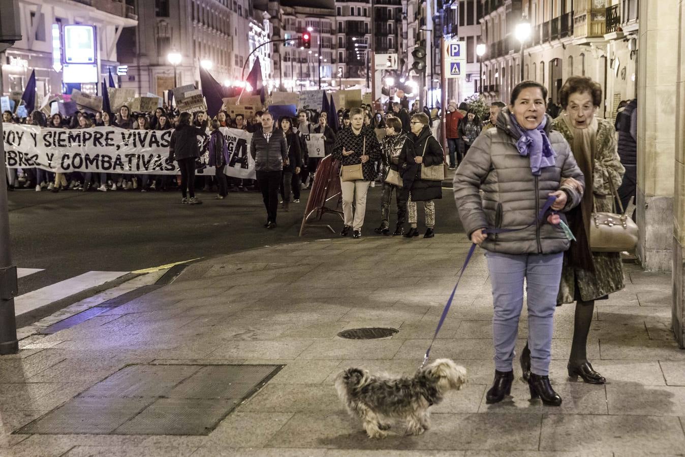 Fotos: La manifestación del Día de la Mujer llena al anocchecer las calles de Logroño