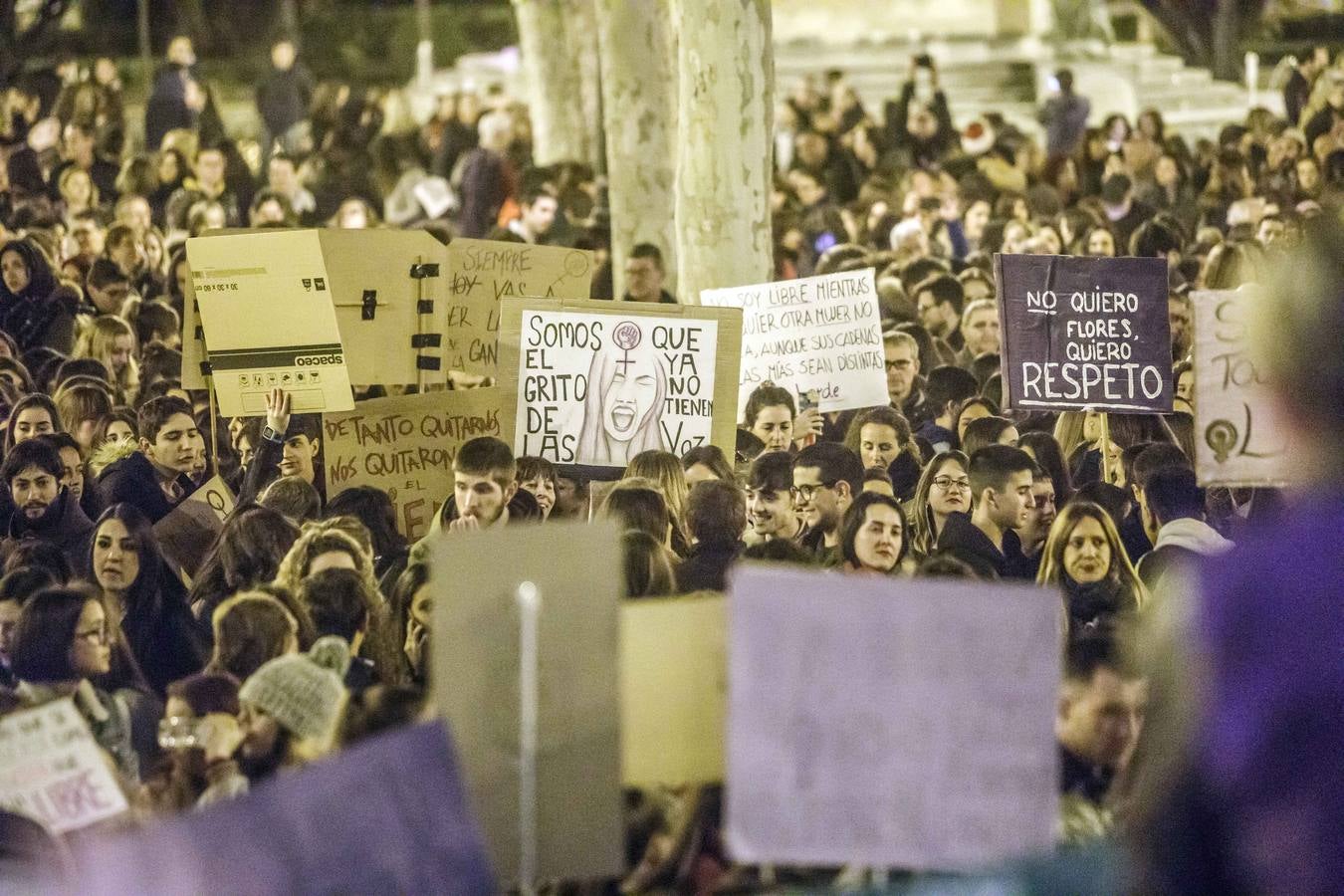 Fotos: La manifestación del Día de la Mujer llena al anocchecer las calles de Logroño