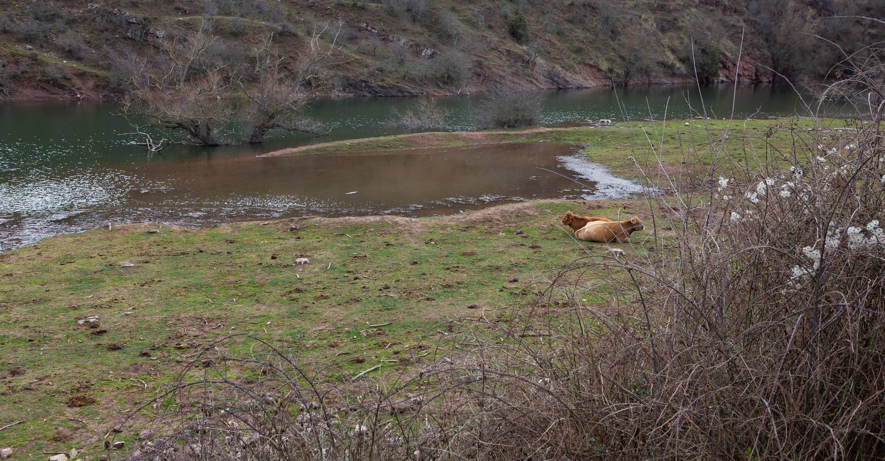 Fotos: Estado del pantano de Mansilla y sus alrededores