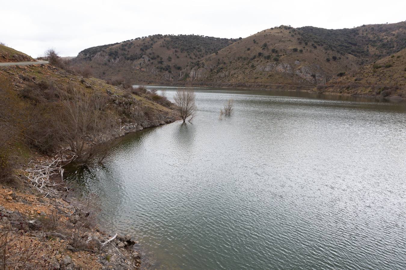 Fotos: Estado del pantano de Mansilla y sus alrededores