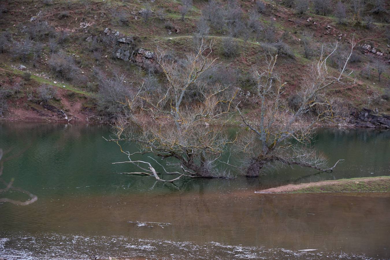 Fotos: Estado del pantano de Mansilla y sus alrededores